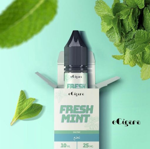 Fresh Mint by eCigara 10ml