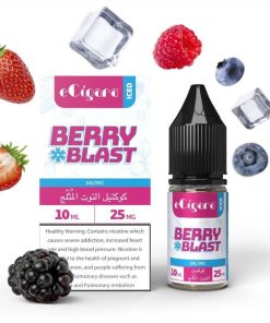 berry-blast-iced-by-ecigara-salt-10ml
